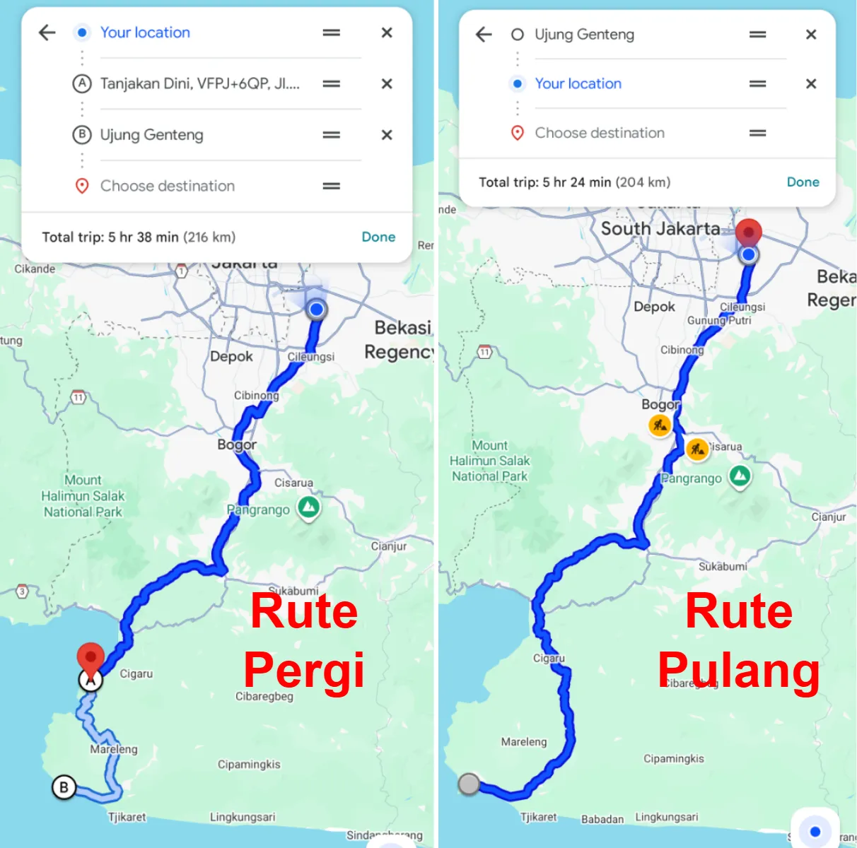 Rute